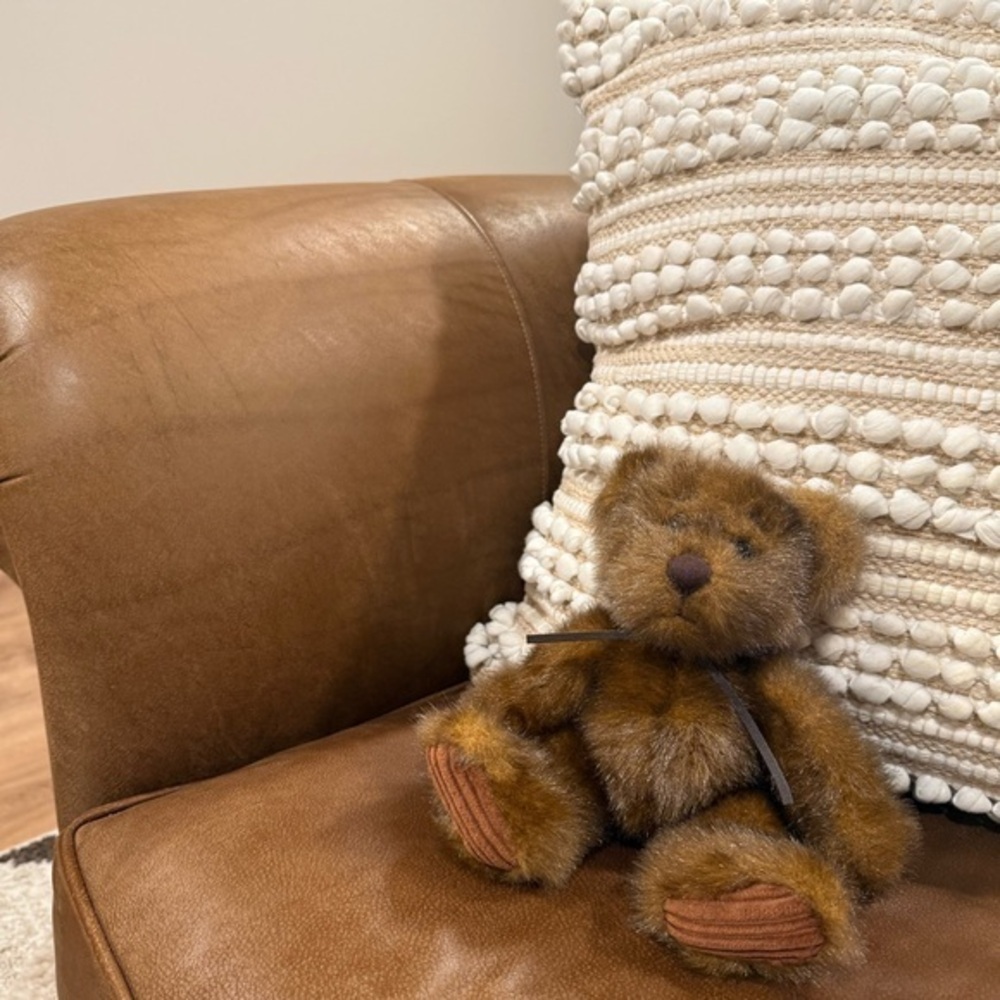 Minky Plush Brown Teddy Bear Soft Faux Fur Stuffed Animal